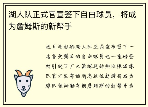 湖人队正式官宣签下自由球员，将成为詹姆斯的新帮手